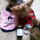 아인바스 이미지