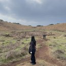 중섭농장 | 폼미쳤던 제주