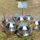 영천초등학교 이미지