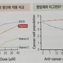 티그린 - 수원시 팔달구 아주로 7 | 티그린