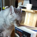 둘레길3코스민박 이미지