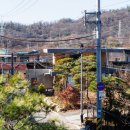 스케일디자인 네이버블로그