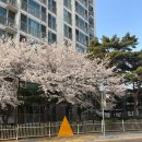 춘천미용실 이미지