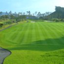 코스카cc 이미지