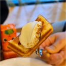 주식회사 레오헬스케어 | 반려견과 군고구마 디저트까지 즐거운 시간 보낸 남양주 애견카페 오헬로 방문 후기