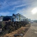 마이제주부동산중개법인 이미지