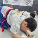 동아대하이태권도 이미지