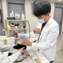 다나동물병원 | 광주 화정동 동물병원, 고양이 눈 염증이 생겼다면? 이 점을 꼭 알아두시면 좋습니다