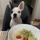 단지(DANGEE)