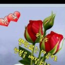 창원이화약국 이미지