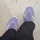 6223 | 아디다스 가젤 퍼플 IG6223 더블유컨셉 할인 내돈내산 구매 후기