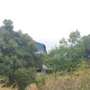 영장농장 이미지