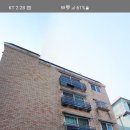 삼작로256번길 Daum카페