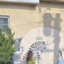 호천마을 | 부산호천마을 여행기