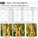 모내는날 | 가루쌀 ‘바로미2’, 안정생산 핵심은 모내는 시기 준수