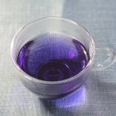 수련꽃차