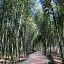 간전중앙로 이미지