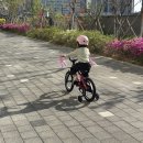 신세계바이크 | 어린이날 선물 추천 마이크로바이크 16인치 유아네발자전거 구매 후기