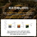본초바이오 프로토파낙스와 고혈압 .. 인삼발효추출물의 효능