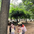 숲속아이 1 이미지