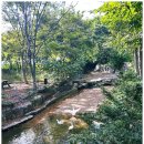 손두부촌 이미지