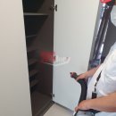 로취스토리