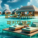 몰디브 허니문 패키지 비교