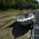 Antonio`s Farm 이미지