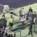 ㈜진흥종합환경 | 축구장이 전쟁터? 안양 부천전 심판 위협 사태, 선을 넘은 팬심의 최후
