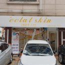 에클라 스킨 네이버블로그