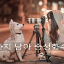 담은동물병원 이미지