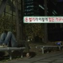 신강꼬지 네이버블로그