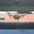 클레이아크김해 이미지