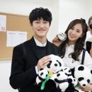 애니멀즈 이미지