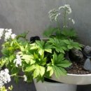 심순례공인중개사사무소 이미지