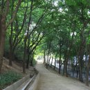 [강남서초힐링공간/공원] 멀리가지 말고 강남에서 쉬자, 강남서초 힐링 공간에서 휴(休)~
