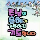 꼬망쎄 - 구리시 | 꼬망쎄