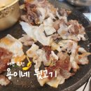 용이네집 | 부산 서면 부전 점심 추천 [ 용이네 뒷고기 ] 점심특선 후기 고기 + 비빔밥 + 된장찌개