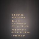 명문특장 | 240708-240713 포토덤프