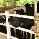 상몽농장 이미지