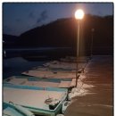 금터좌대보트