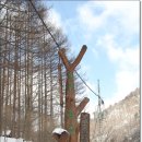 매봉산 민박 이미지
