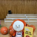 서울은로초등학교 이미지