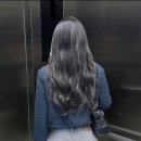 볼모텔 이미지