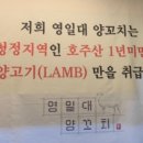 영일대양꼬치 네이버블로그