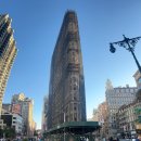 100년의피자 카페인시애틀 | [뉴욕] Day8_미술관 옆 동물원 아니고 한식당(MoMA 모마, 뉴욕 한인타운 맛집, 플랫아이언, 타임스퀘어...