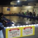 가자실내낚시터 이미지