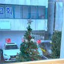 냥이 주택 이미지