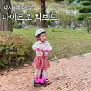 48개월 세발킥보드 비교 후 선택한 마이크로 맥시T폴더블 킥보드 유아 헬멧 정보 추천