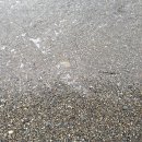 만성리해수욕장(자갈밭) 이미지